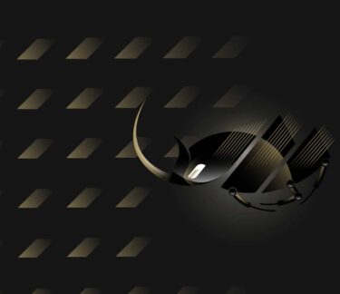Elephant Beetle: Uncovering an Organized Financial-Theft Operation